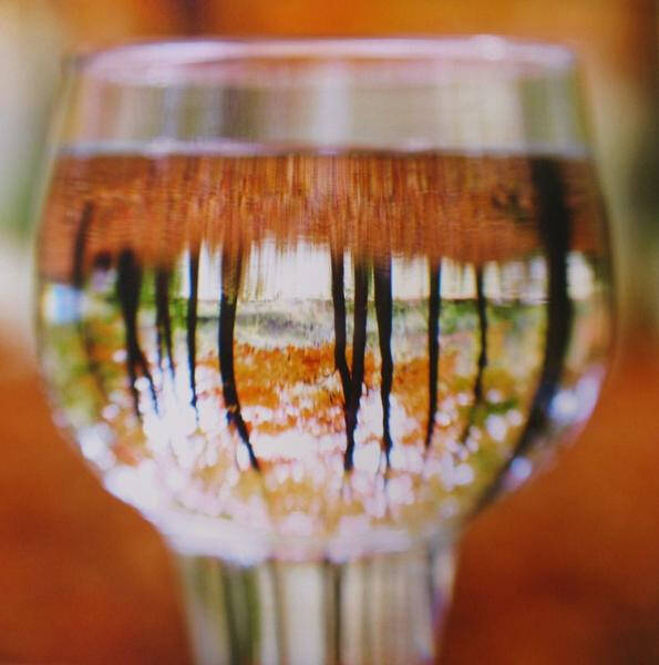 Photograph of a reverse landscape image in a glass of water.